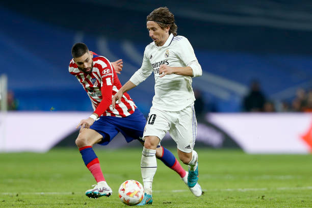 道而来的尊 道而来的尊