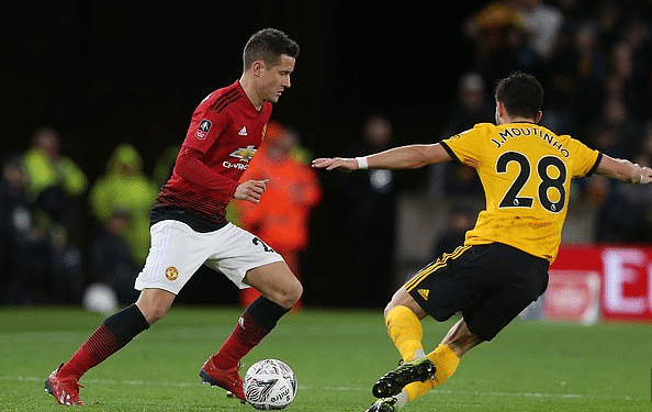 这些粉丝不 这些粉丝不